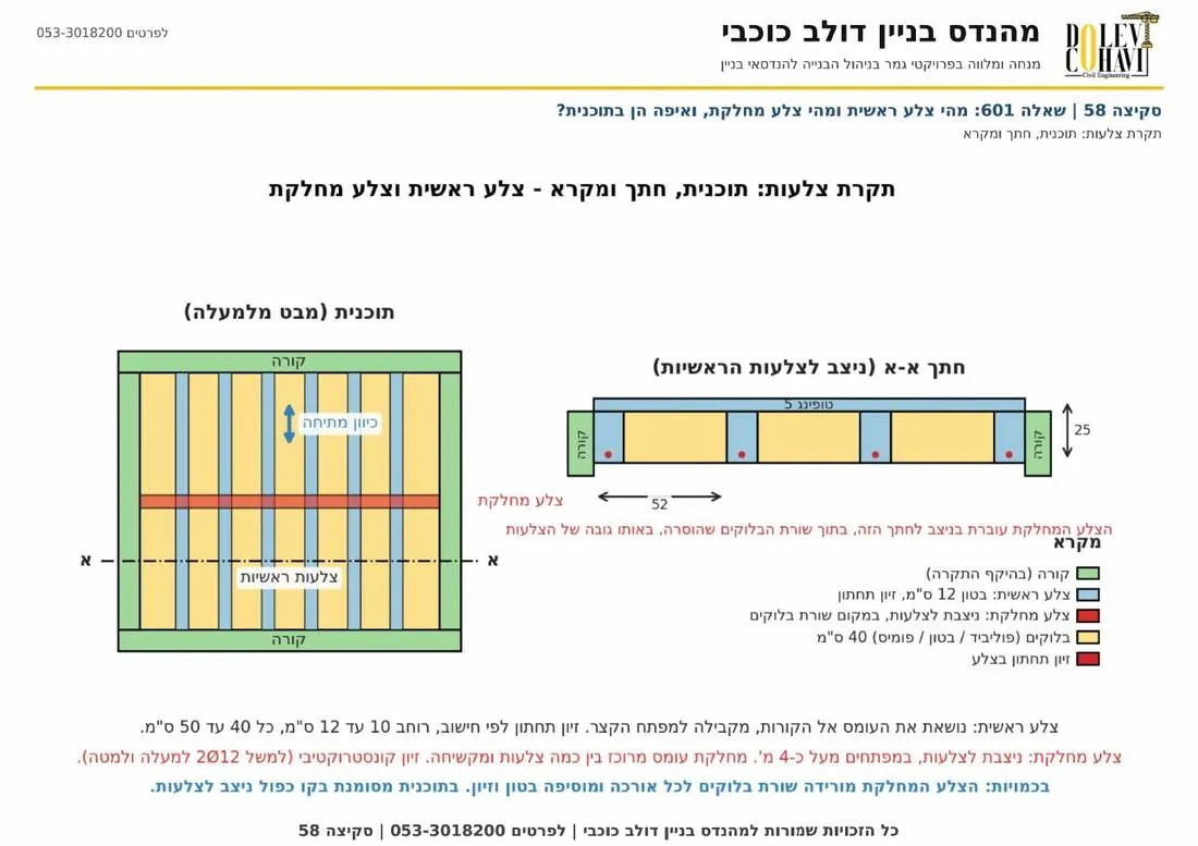 סקיצה 58 צלע ראשית וצלע מחלקת